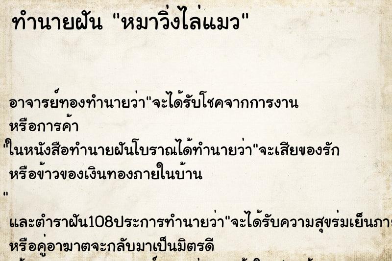 ทำนายฝัน หมาวิ่งไล่แมว ทำนายฝัน หมาวิ่งไล่แมว