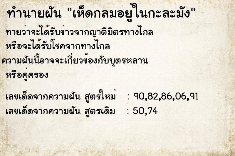 ทำนายฝันเห็ดกลมอยู่ในกะละมัง ทำนายฝันทำนายฝันเห็ดกลมอยู่ในกะละมัง