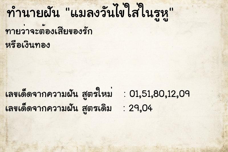 ทำนายฝันแมลงวันไข่ใส่ในรูหู ทำนายฝันทำนายฝันแมลงวันไข่ใส่ในรูหู