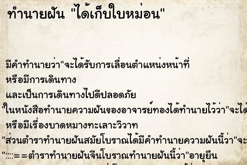 ทำนายฝัน ได้เก็บใบหม่อน