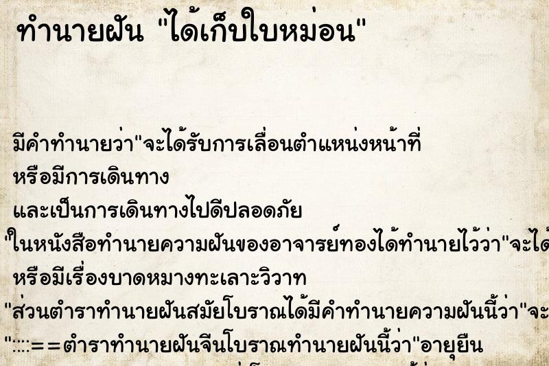 ทำนายฝัน ได้เก็บใบหม่อน ตำราโบราณ แม่นที่สุดในโลก