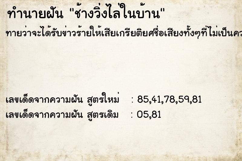 ทำนายฝันช้างวิ่งไล่ในบ้าน ทำนายฝันทำนายฝันช้างวิ่งไล่ในบ้าน
