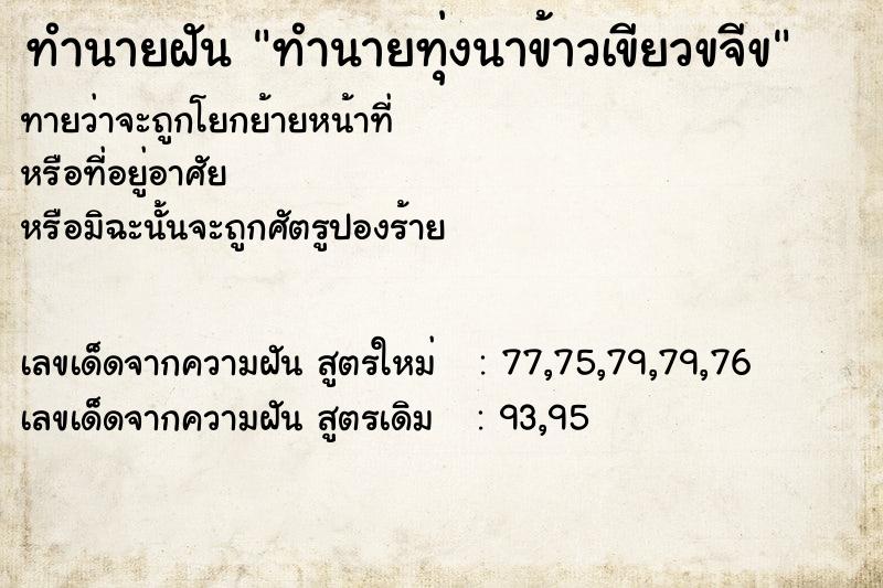 ทำนายฝันทำนายทุ่งนาข้าวเขียวขจีข ทำนายฝันทำนายฝันทำนายทุ่งนาข้าวเขียวขจีข