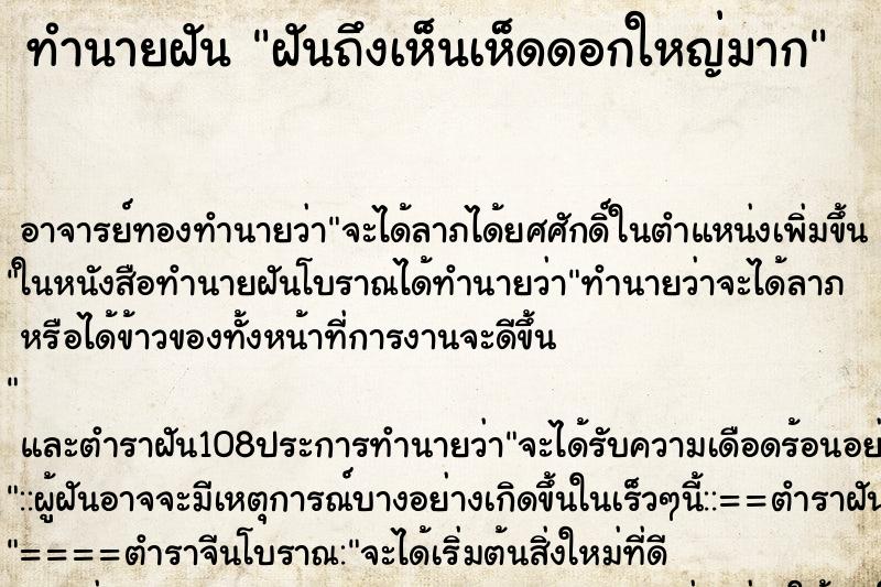 ทำนายฝันฝันถึงเห็นเห็ดดอกใหญ่มาก ทำนายฝันทำนายฝันฝันถึงเห็นเห็ดดอกใหญ่มาก