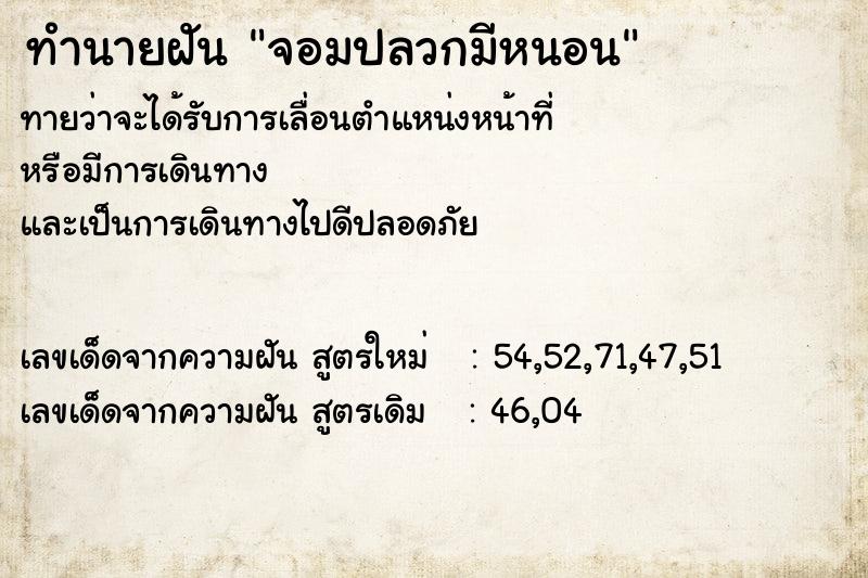 ทำนายฝันจอมปลวกมีหนอน ทำนายฝันทำนายฝันจอมปลวกมีหนอน