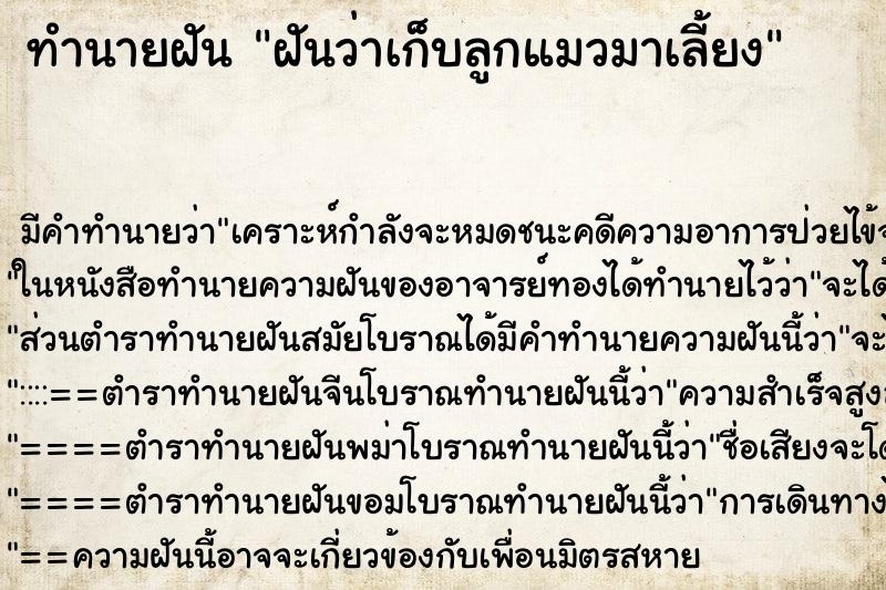 ทำนายฝัน ฝันว่าเก็บลูกแมวมาเลี้ยง ทำนายฝัน ฝันว่าเก็บลูกแมวมาเลี้ยง