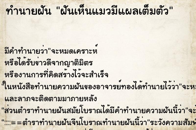 ทำนายฝันฝันเห็นแมวมีแผลเต็มตัว ทำนายฝันทำนายฝันฝันเห็นแมวมีแผลเต็มตัว
