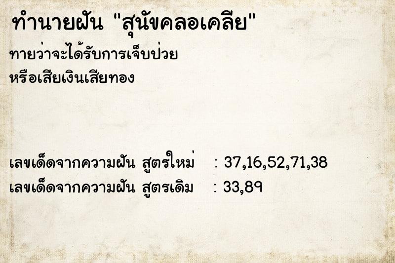 ทำนายฝันสุนัขคลอเคลีย ทำนายฝันทำนายฝันสุนัขคลอเคลีย