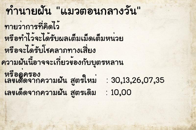 ทำนายฝัน แมวตอนกลางวัน ทำนายฝัน แมวตอนกลางวัน