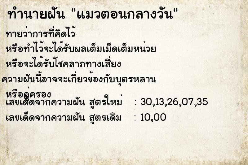 ทำนายฝัน แมวตอนกลางวัน ตำราโบราณ แม่นที่สุดในโลก