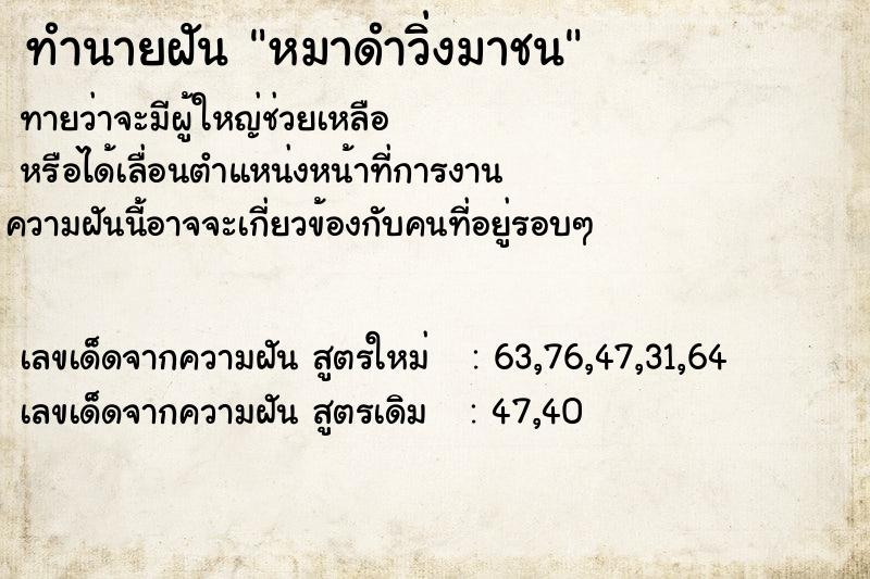 ทำนายฝันหมาดำวิ่งมาชน ทำนายฝันทำนายฝันหมาดำวิ่งมาชน