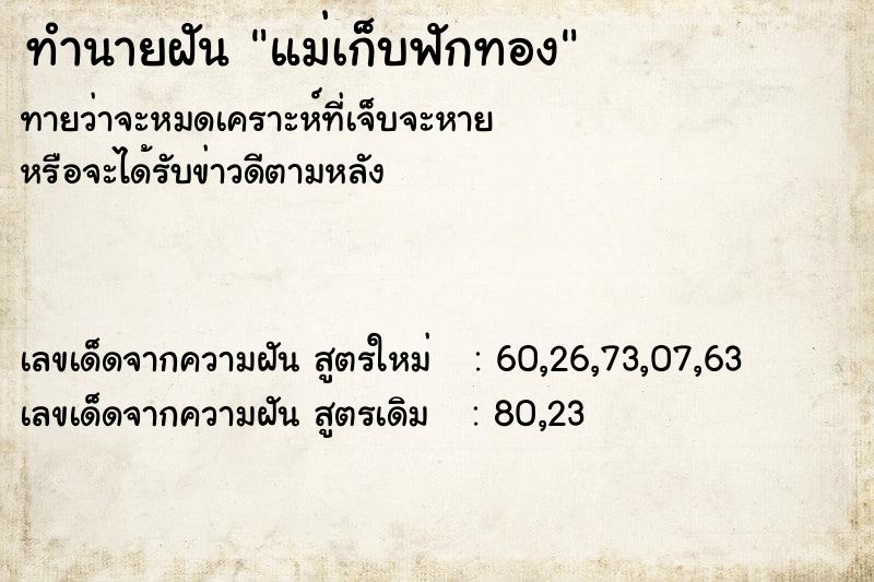 ทำนายฝัน แม่เก็บฟักทอง ทำนายฝัน แม่เก็บฟักทอง