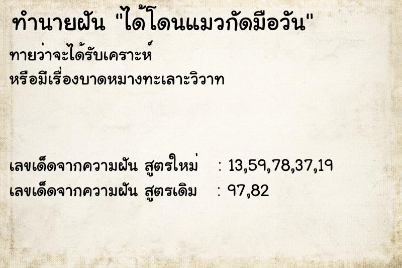 ทำนายฝันทำนายฝันได้โดนแมวกัดมือวัน