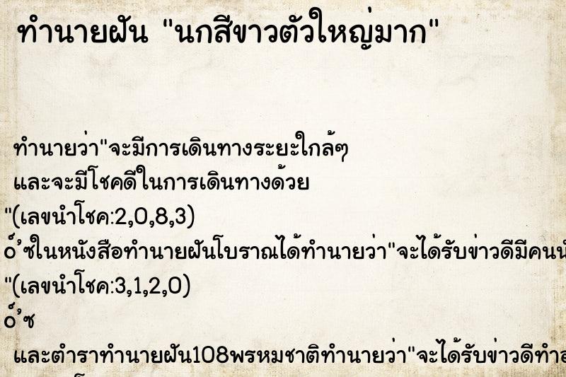 ทำนายฝัน นกสีขาวตัวใหญ่มาก