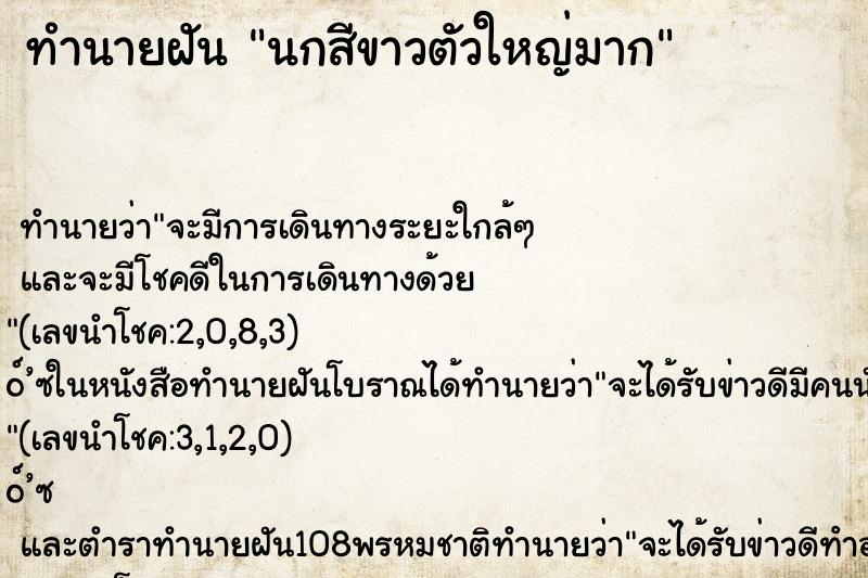 ทำนายฝัน นกสีขาวตัวใหญ่มาก ตำราโบราณ แม่นที่สุดในโลก