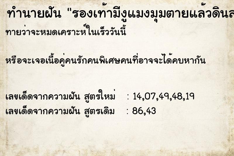 ทำนายฝันทำนายฝันรองเท้ามีงูแมงมุมตายแล้วดินสอกลบด้วยทราย