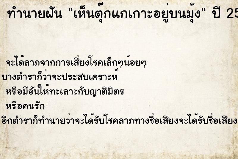 ทำนายฝัน เห็นตุ๊กแกเกาะอยู่บนมุ้ง ทำนายฝัน เห็นตุ๊กแกเกาะอยู่บนมุ้ง