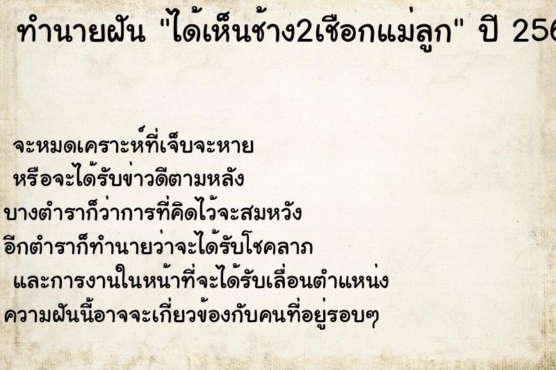 ทำนายฝันทำนายฝันได้เห็นช้าง2เชือกแม่ลูก