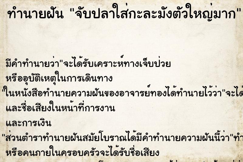 ทำนายฝันจับปลาใส่กะละมังตัวใหญ่มาก ทำนายฝันทำนายฝันจับปลาใส่กะละมังตัวใหญ่มาก