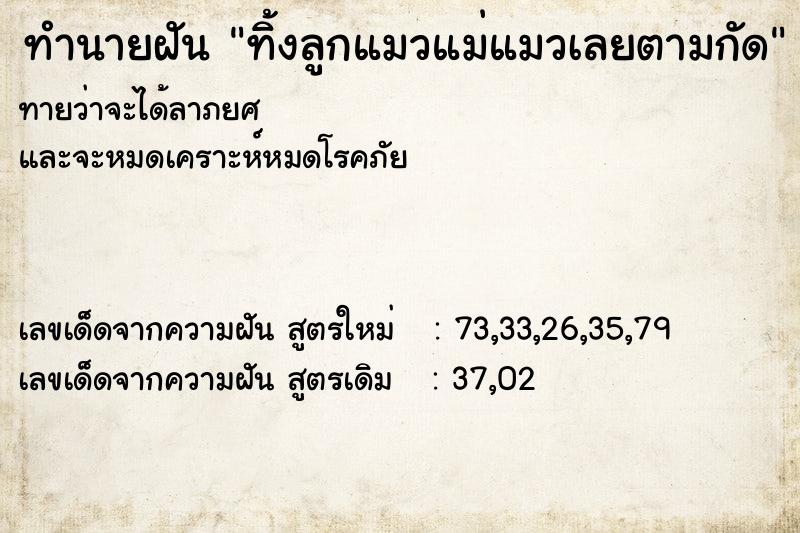 ทำนายฝันทิ้งลูกแมวแม่แมวเลยตามกัด ทำนายฝันทำนายฝันทิ้งลูกแมวแม่แมวเลยตามกัด