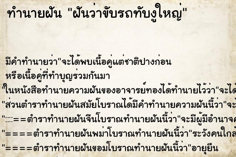 ทำนายฝัน ฝันว่าขับรถทับงูใหญ่ ทำนายฝัน ฝันว่าขับรถทับงูใหญ่