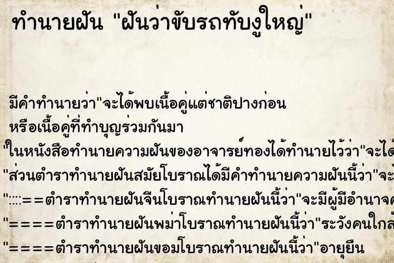 ทำนายฝัน ฝันว่าขับรถทับงูใหญ่ ตำราโบราณ แม่นที่สุดในโลก