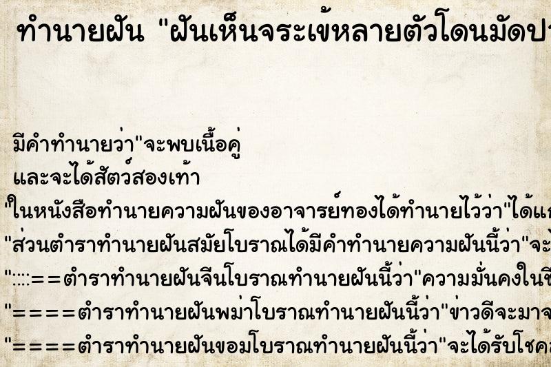 ทำนายฝันทำนายฝันฝันเห็นจระเข้หลายตัวโดนมัดปาก