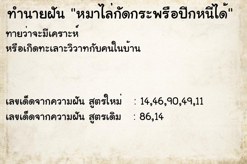 ทำนายฝัน หมาไล่กัดกระพรือปีกหนีได้ ทำนายฝัน หมาไล่กัดกระพรือปีกหนีได้