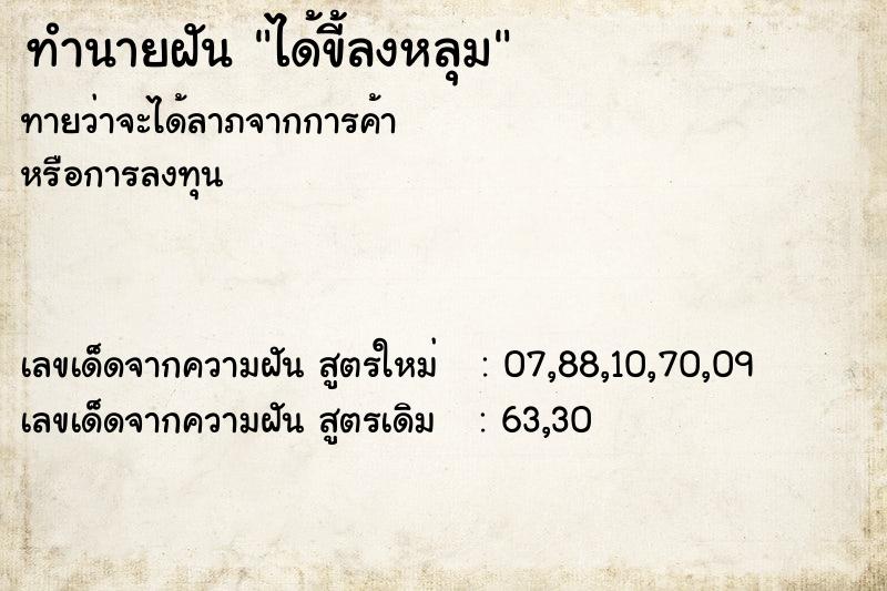 ทำนายฝันได้ขี้ลงหลุม ทำนายฝันทำนายฝันได้ขี้ลงหลุม