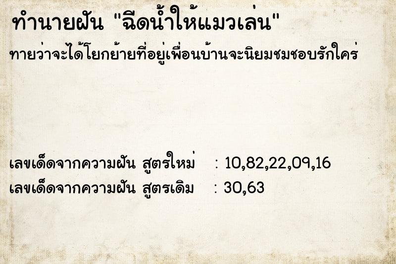 ทำนายฝันฉีดน้ำให้แมวเล่น ทำนายฝันทำนายฝันฉีดน้ำให้แมวเล่น