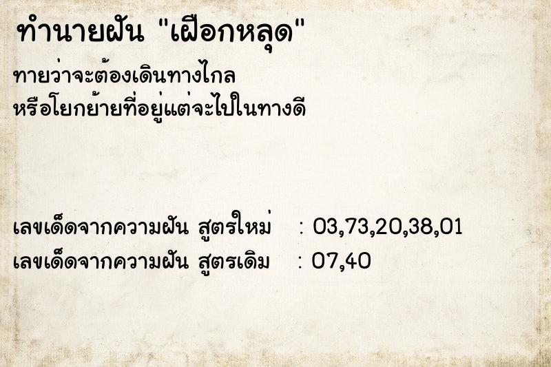 ทำนายฝัน เฝือกหลุด ทำนายฝัน เฝือกหลุด