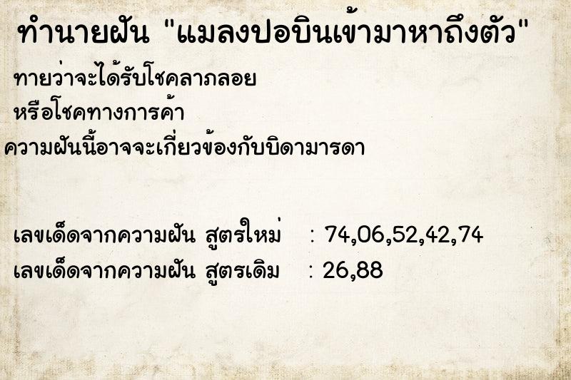 ทำนายฝันแมลงปอบินเข้ามาหาถึงตัว ทำนายฝันทำนายฝันแมลงปอบินเข้ามาหาถึงตัว