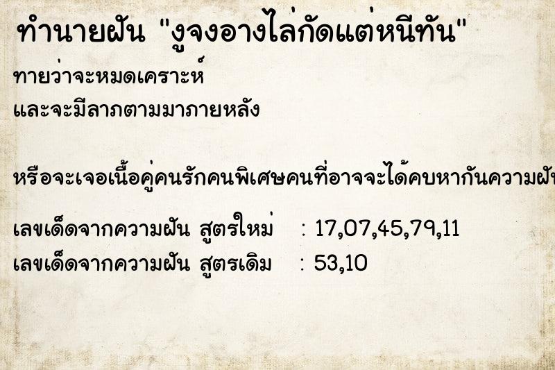 ทำนายฝันงูจงอางไล่กัดแต่หนีทัน ทำนายฝันทำนายฝันงูจงอางไล่กัดแต่หนีทัน