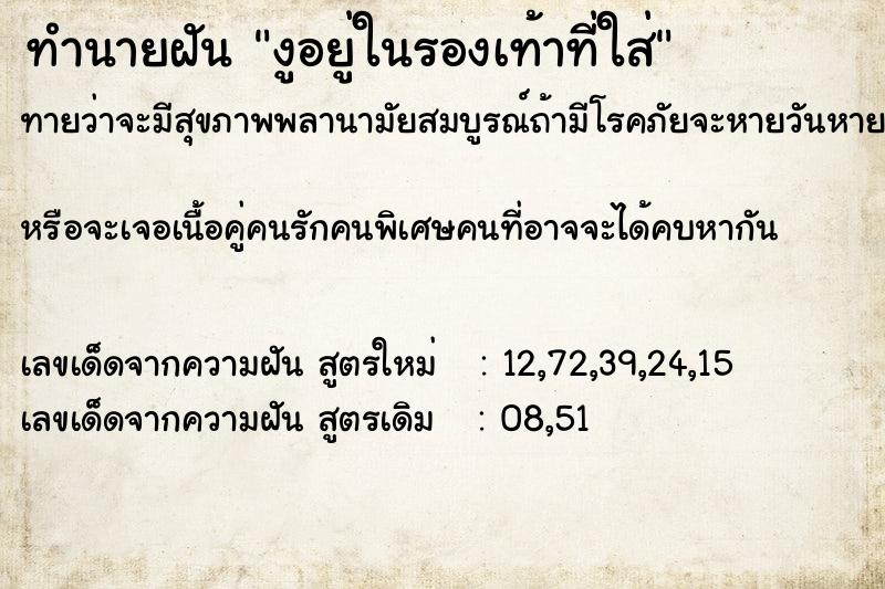 ทำนายฝันงูอยู่ในรองเท้าที่ใส่ ทำนายฝันทำนายฝันงูอยู่ในรองเท้าที่ใส่