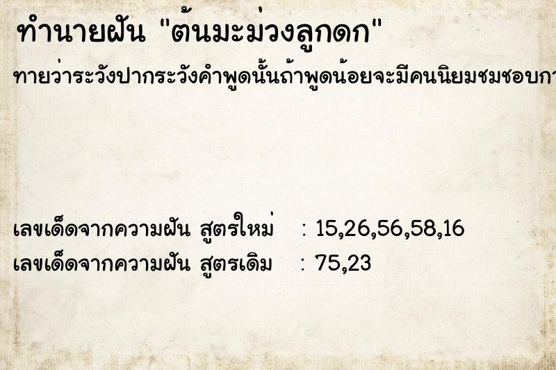 ทำนายฝันต้นมะม่วงลูกดก ทำนายฝันทำนายฝันต้นมะม่วงลูกดก