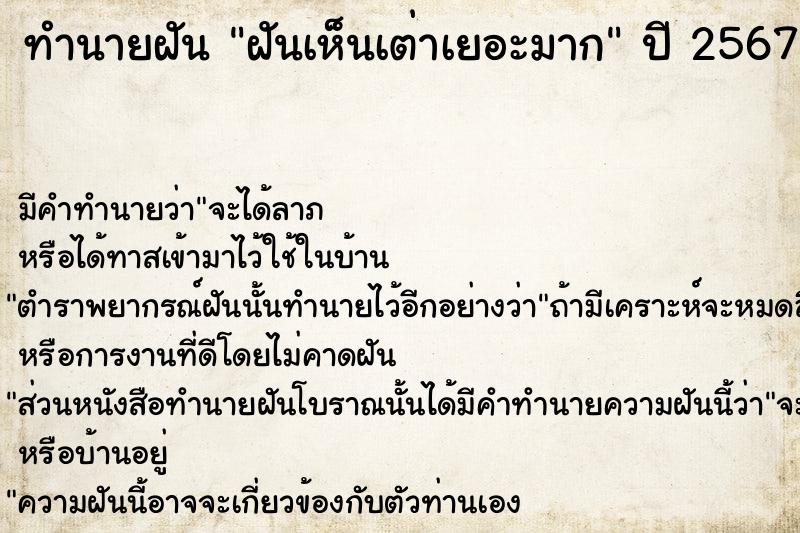 ทำนายฝัน ฝันเห็นเต่าเยอะมาก ทำนายฝัน ฝันเห็นเต่าเยอะมาก