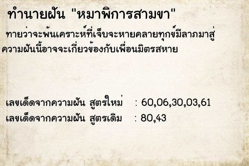 ทำนายฝันทำนายฝันหมาพิการสามขา