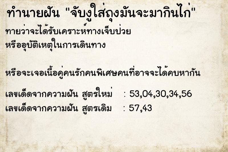 ทำนายฝันทำนายฝันจับงูใส่ถุงมันจะมากินไก่