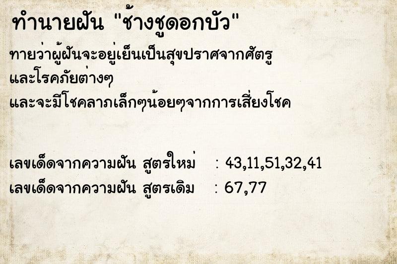 ทำนายฝันทำนายฝันช้างชูดอกบัว