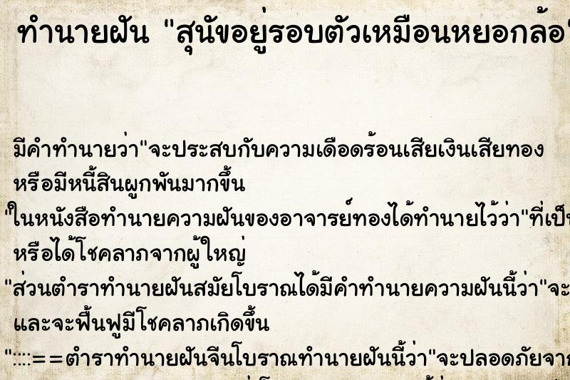 ทำนายฝันสุนัขอยู่รอบตัวเหมือนหยอกล้อ ทำนายฝันทำนายฝันสุนัขอยู่รอบตัวเหมือนหยอกล้อ
