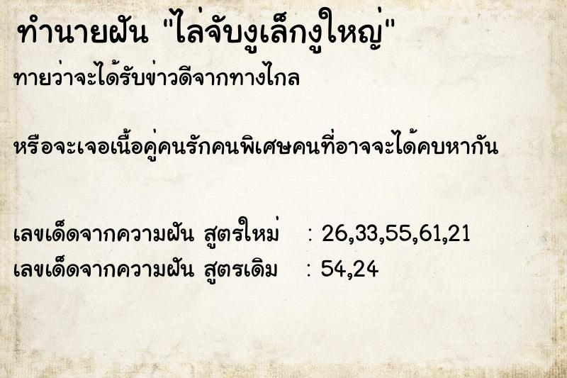ทำนายฝันทำนายฝันไล่จับงูเล็กงูใหญ่