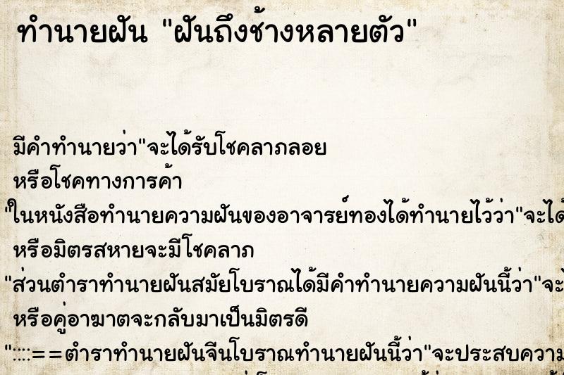 ทำนายฝันฝันถึงช้างหลายตัว ทำนายฝันทำนายฝันฝันถึงช้างหลายตัว