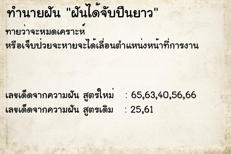 ทำนายฝันทำนายฝันฝันได้จับปืนยาว