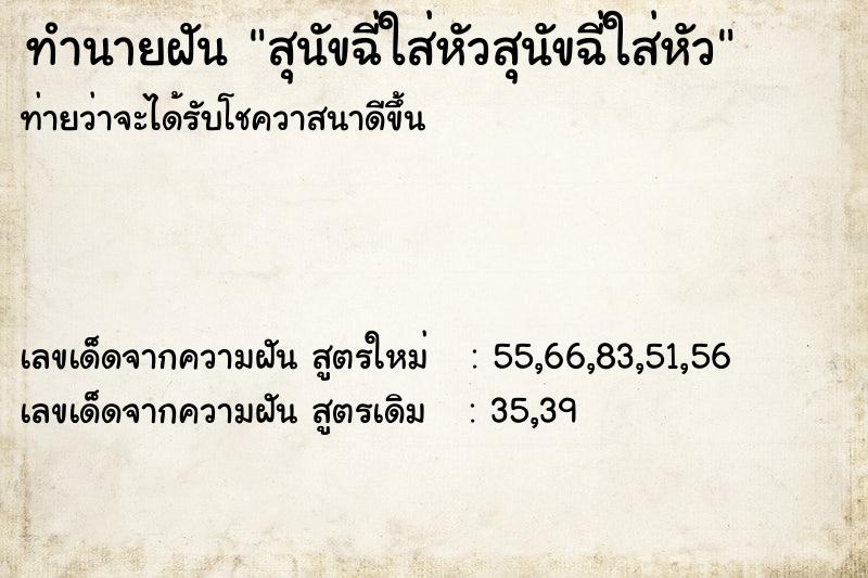 ทำนายฝันสุนัขฉี่ใส่หัวสุนัขฉี่ใส่หัว ทำนายฝันทำนายฝันสุนัขฉี่ใส่หัวสุนัขฉี่ใส่หัว