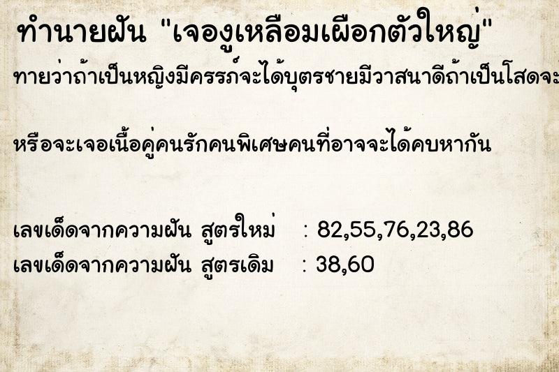 ทำนายฝันทำนายฝันเจองูเหลือมเผือกตัวใหญ่