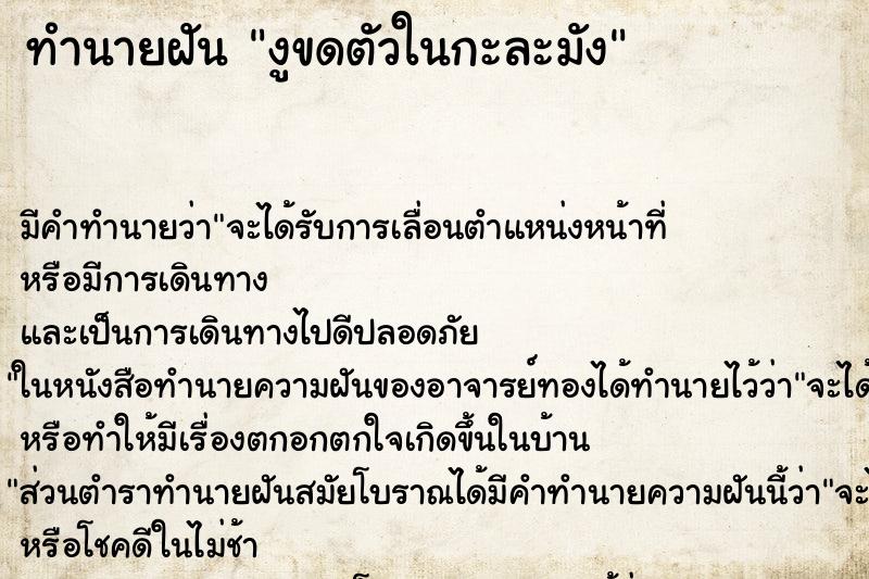 ทำนายฝัน งูขดตัวในกะละมัง ทำนายฝัน งูขดตัวในกะละมัง