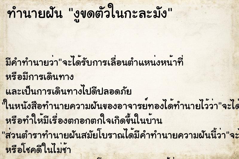 ทำนายฝัน งูขดตัวในกะละมัง ตำราโบราณ แม่นที่สุดในโลก