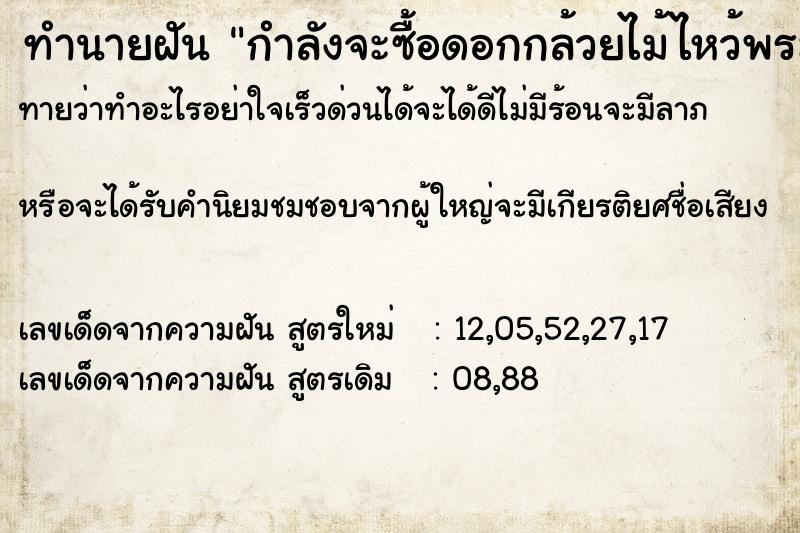 ทำนายฝันกำลังจะซื้อดอกกล้วยไม้ไหว้พระ ทำนายฝันทำนายฝันกำลังจะซื้อดอกกล้วยไม้ไหว้พระ