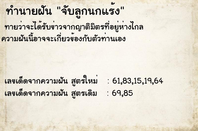 ทำนายฝันทำนายฝันจับลูกนกแร้ง