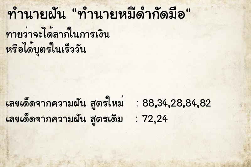 ทำนายฝันทำนายหมีดำกัดมือ ทำนายฝันทำนายฝันทำนายหมีดำกัดมือ
